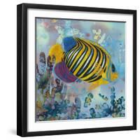 Regal Angel Fish-Kestrel Michaud-Framed Giclee Print