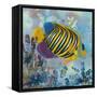 Regal Angel Fish-Kestrel Michaud-Framed Stretched Canvas