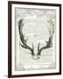 Regal Antlers on Newsprint II-Sue Schlabach-Framed Art Print