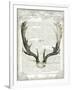 Regal Antlers on Newsprint II-Sue Schlabach-Framed Art Print