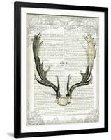 Regal Antlers on Newsprint II-Sue Schlabach-Framed Art Print