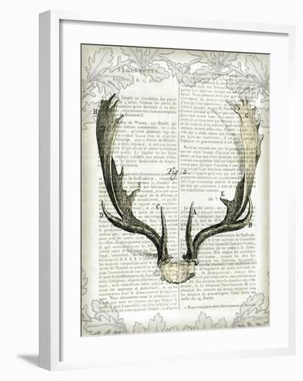 Regal Antlers on Newsprint II-Sue Schlabach-Framed Art Print