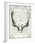 Regal Antlers on Newsprint II-Sue Schlabach-Framed Art Print