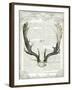 Regal Antlers on Newsprint II-Sue Schlabach-Framed Art Print