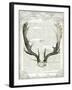 Regal Antlers on Newsprint II-Sue Schlabach-Framed Art Print