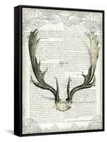 Regal Antlers on Newsprint II-Sue Schlabach-Framed Stretched Canvas