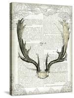 Regal Antlers on Newsprint II-Sue Schlabach-Stretched Canvas