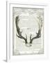 Regal Antlers on Newsprint II-Sue Schlabach-Framed Art Print