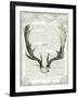 Regal Antlers on Newsprint II-Sue Schlabach-Framed Art Print