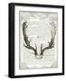 Regal Antlers on Newsprint II-Sue Schlabach-Framed Art Print