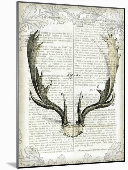 Regal Antlers on Newsprint II-Sue Schlabach-Mounted Art Print