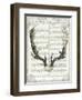 Regal Antlers on Newsprint II-Sue Schlabach-Framed Art Print