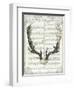 Regal Antlers on Newsprint II-Sue Schlabach-Framed Art Print