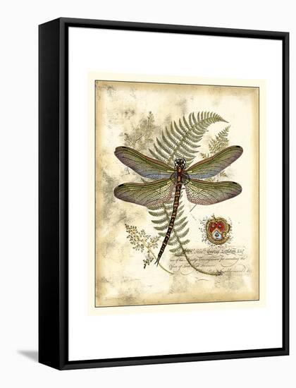 Regal Dragonfly I-Vision Studio-Framed Stretched Canvas