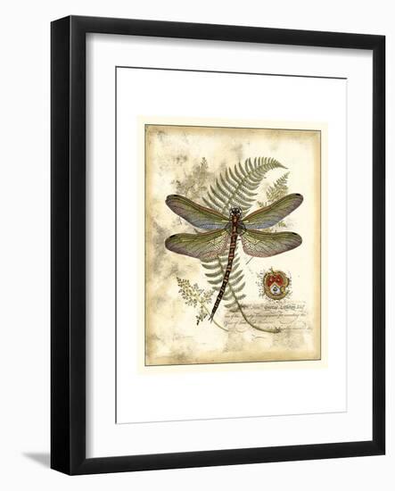 Regal Dragonfly I-Vision Studio-Framed Art Print