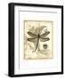 Regal Dragonfly I-Vision Studio-Framed Art Print