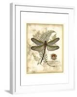 Regal Dragonfly I-Vision Studio-Framed Art Print