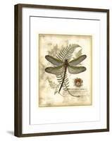 Regal Dragonfly I-Vision Studio-Framed Art Print