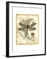 Regal Dragonfly I-Vision Studio-Framed Art Print