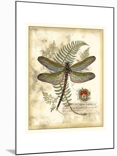 Regal Dragonfly I-Vision Studio-Mounted Art Print