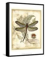 Regal Dragonfly I-Vision Studio-Framed Stretched Canvas