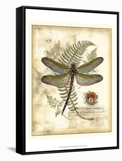 Regal Dragonfly I-Vision Studio-Framed Stretched Canvas