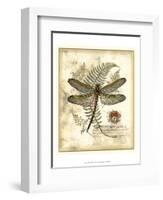 Regal Dragonfly I-Vision Studio-Framed Art Print