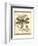 Regal Dragonfly I-Vision Studio-Framed Art Print