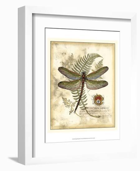 Regal Dragonfly I-Vision Studio-Framed Art Print