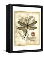 Regal Dragonfly I-Vision Studio-Framed Stretched Canvas