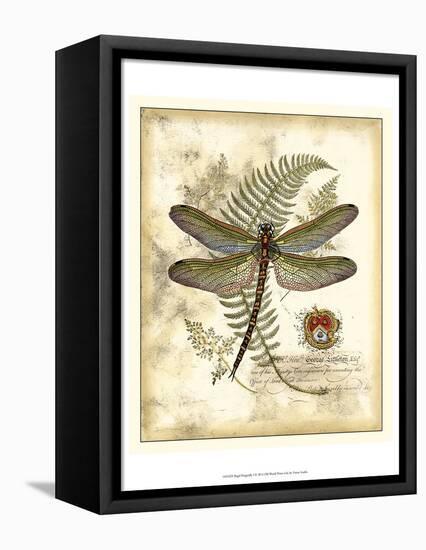 Regal Dragonfly I-Vision Studio-Framed Stretched Canvas