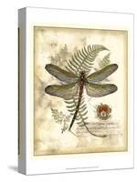 Regal Dragonfly I-Vision Studio-Stretched Canvas