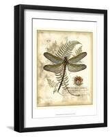 Regal Dragonfly I-Vision Studio-Framed Art Print