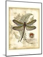 Regal Dragonfly I-Vision Studio-Mounted Art Print