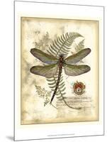 Regal Dragonfly I-Vision Studio-Mounted Art Print