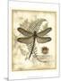 Regal Dragonfly I-Vision Studio-Mounted Art Print