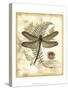 Regal Dragonfly I-Vision Studio-Stretched Canvas