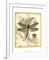 Regal Dragonfly I-Vision Studio-Framed Art Print