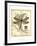 Regal Dragonfly I-Vision Studio-Framed Art Print