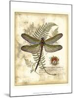 Regal Dragonfly I-Vision Studio-Mounted Art Print