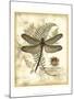 Regal Dragonfly I-Vision Studio-Mounted Art Print