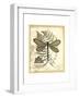 Regal Dragonfly II-Vision Studio-Framed Art Print