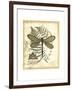 Regal Dragonfly II-Vision Studio-Framed Art Print