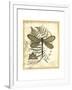 Regal Dragonfly II-Vision Studio-Framed Art Print