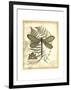 Regal Dragonfly II-Vision Studio-Framed Art Print