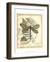 Regal Dragonfly II-Vision Studio-Framed Art Print