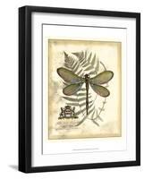 Regal Dragonfly II-Vision Studio-Framed Art Print