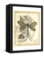 Regal Dragonfly II-Vision Studio-Framed Stretched Canvas