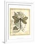 Regal Dragonfly II-Vision Studio-Framed Art Print