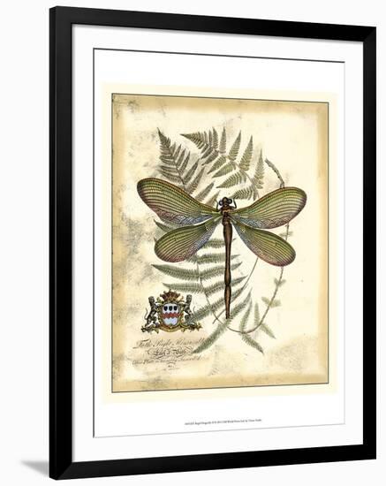 Regal Dragonfly II-Vision Studio-Framed Art Print